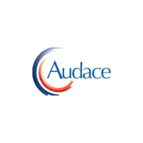 R E M A R Q U A B L E ! - Page 2 Cercle-audace-1